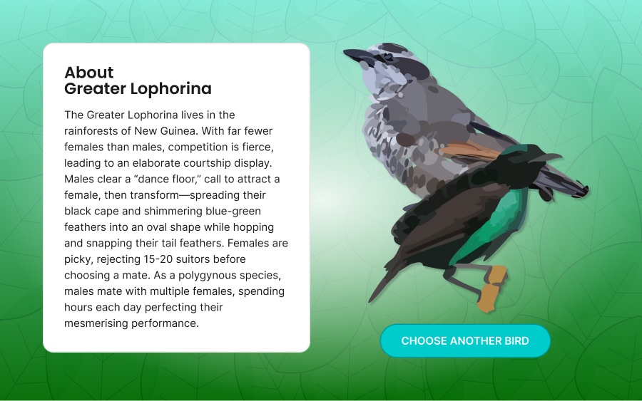 Digital comp of the game's info screen